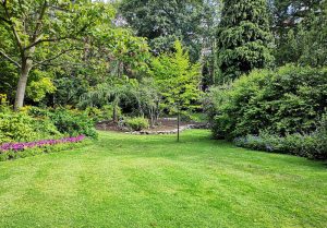 Optimiser l'expérience du jardin à Ban-sur-Meurthe-Clefcy